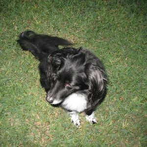 Meet your Posher, Marietta