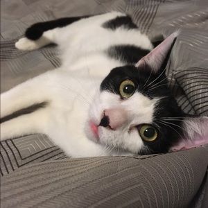 Meet your Posher, Hillary