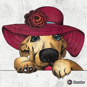 Meet your Posher, Jeanie