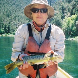 Meet your Posher, Joan