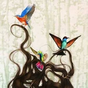 Meet your Posher, Gaby