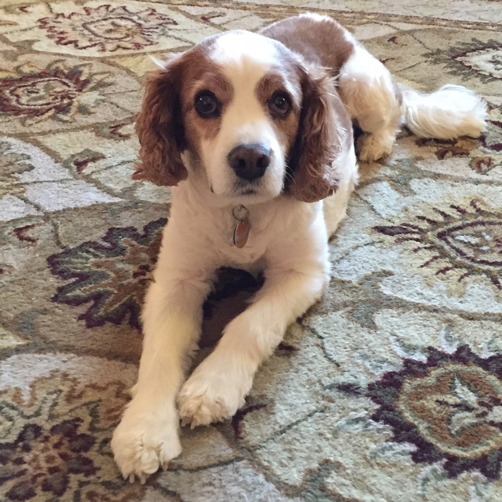 Meet your Posher, Tonya