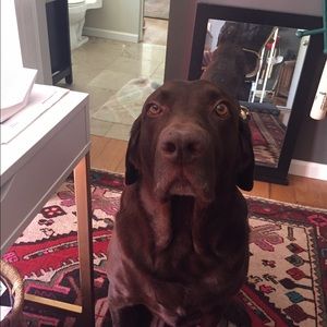 Meet your Posher, Scott