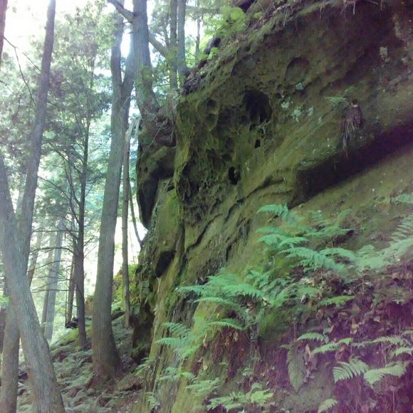 W E L C O M E - Picture 4 of 4