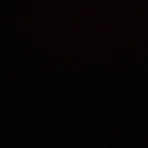 Meet your Posher, Lisette