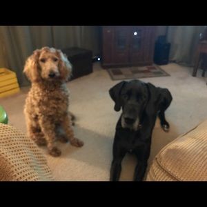 Meet your Posher, Anita