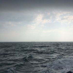 Meet your Posher, Jeremiah