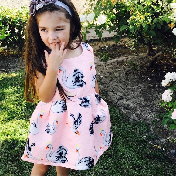 Swan girls dress,ballerina dress, girls pink dress - Picture 4 of 4