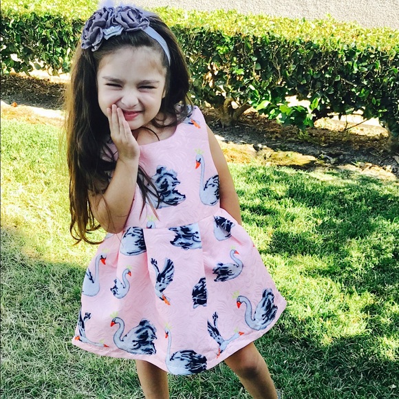 Swan girls dress,ballerina dress, girls pink dress - Picture 2 of 4