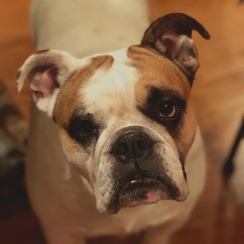 Meet your Posher, Mallory