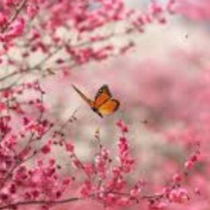 Meet your Posher, Sabina