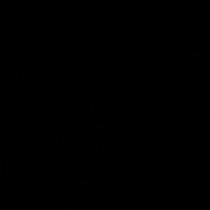 Meet your Posher, Sheryl