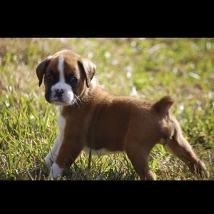 Meet your Posher, Chad