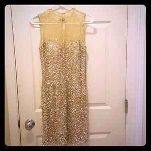 Champagne sequin dress.
