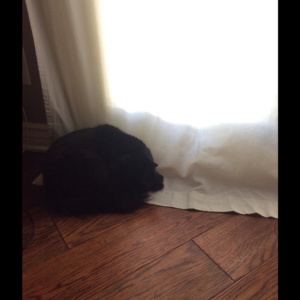 Meet your Posher, Kara