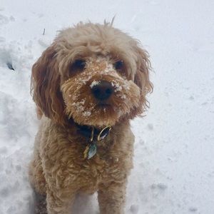 Meet your Posher, Erika