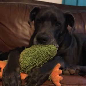 Meet your Posher, Anthony