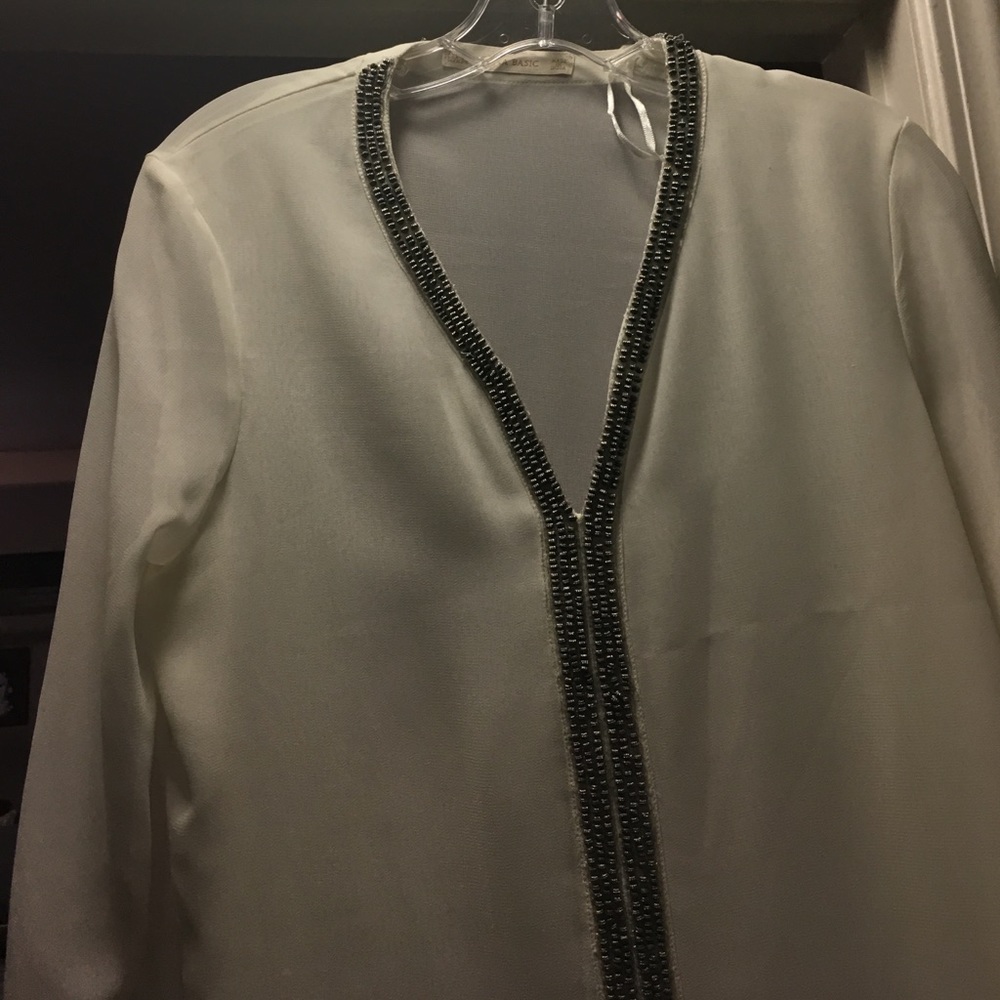Zara  sheer top