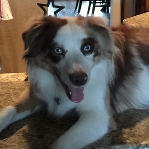 Meet your Posher, Lindsey