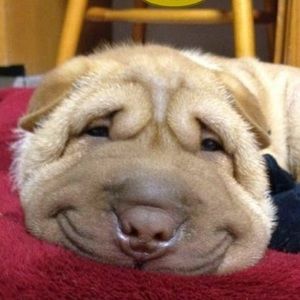 Meet your Posher, Keshia