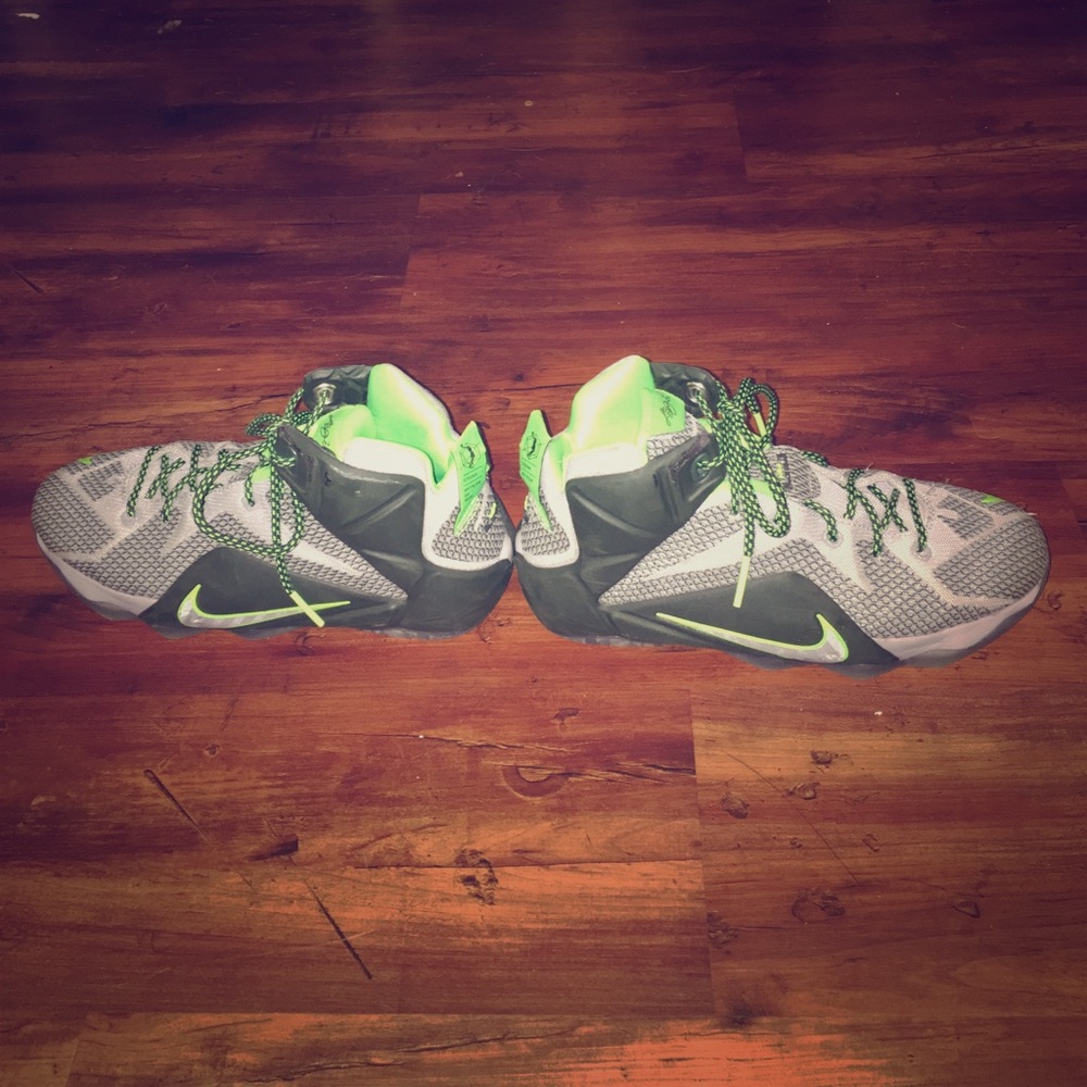 Green and grey nike Lebron dunk forces