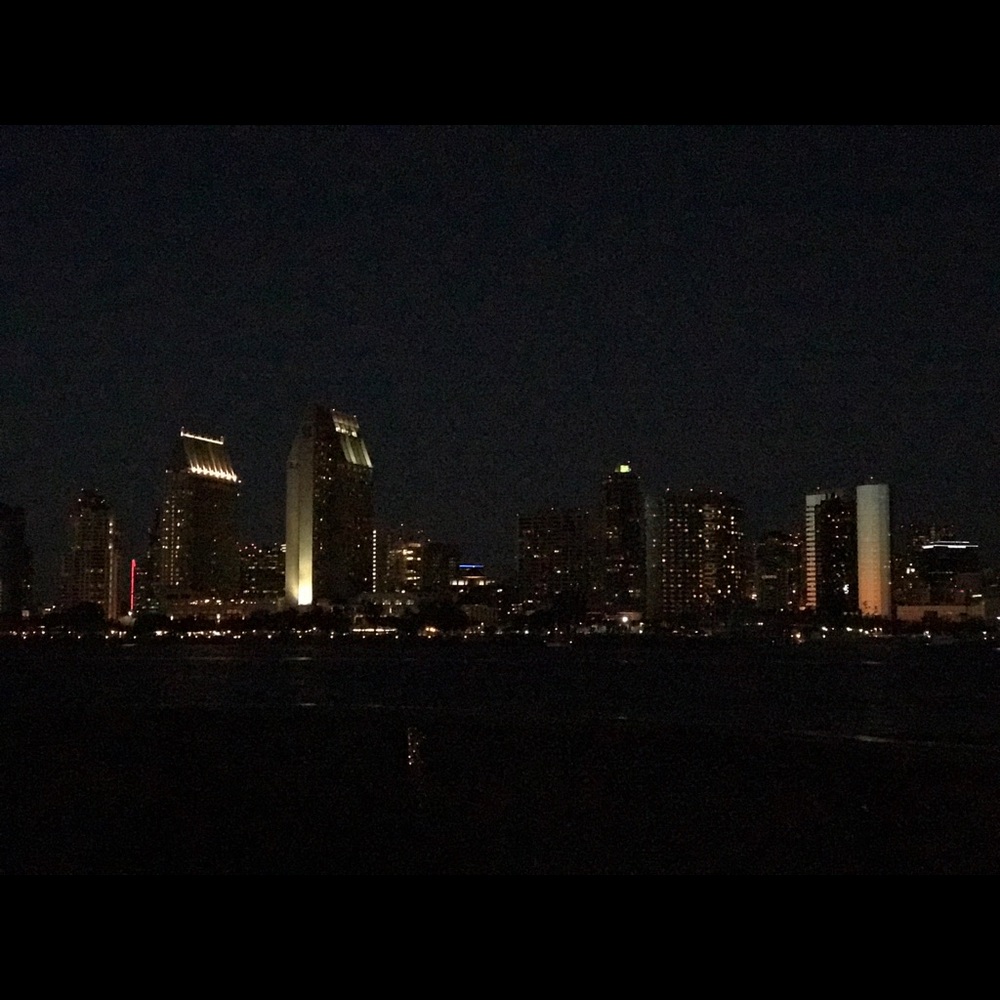 Meet your Posher, Leila