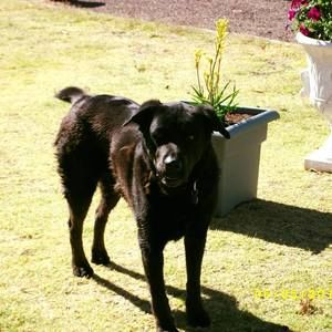 Meet your Posher, Darcie