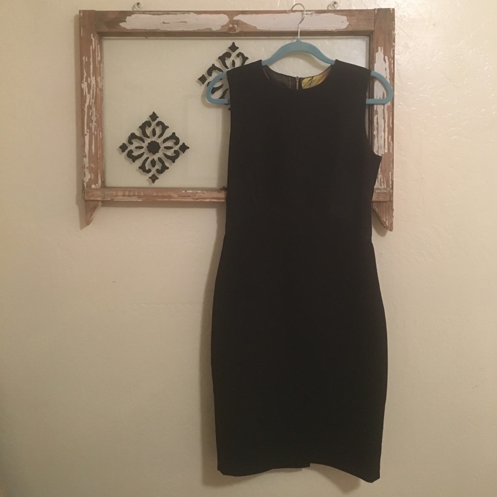 Ted Baker Ottoman Midi Dress - very gently used!