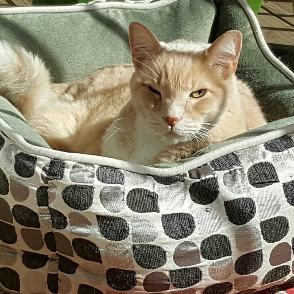 Meet your Posher, Jana