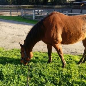 Meet your Posher, Jill