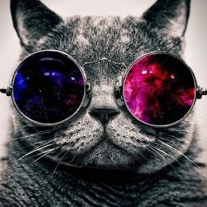 Meet your Posher, Joseph