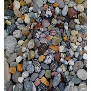 Meet your Posher, Mariely