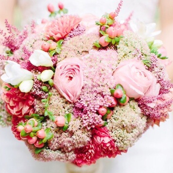 Meet your Posher, Kaylee - Picture 1 of 1