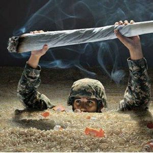 Meet your Posher, Shawn