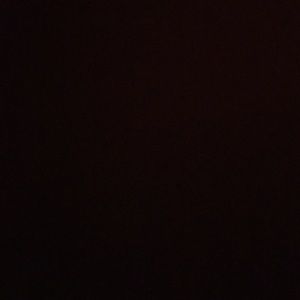 Meet your Posher, Gavian