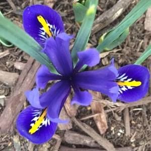 Meet your Posher, Dianne