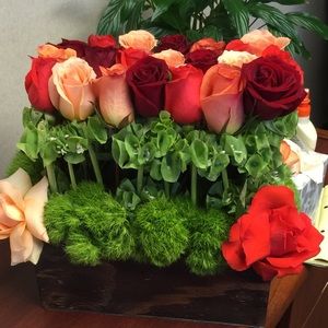 Meet your Posher, Karen