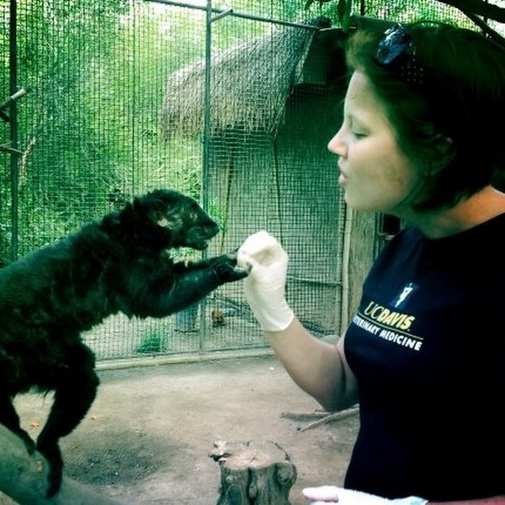 Meet your Posher, Barbara