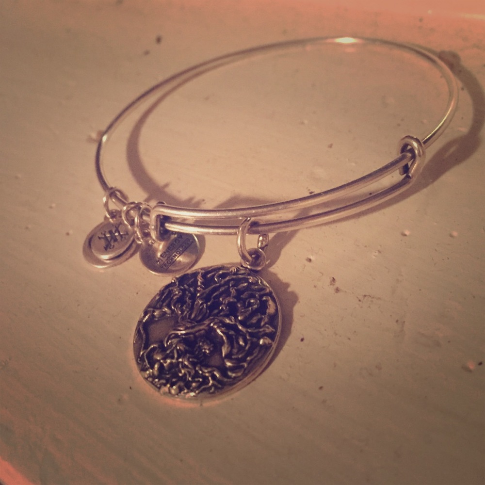 Alex&Ani silver bracelet