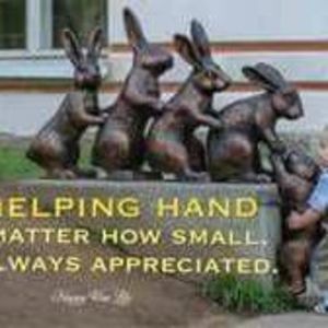 Meet your Posher, Ann