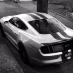 Meet your Posher, Mohammed