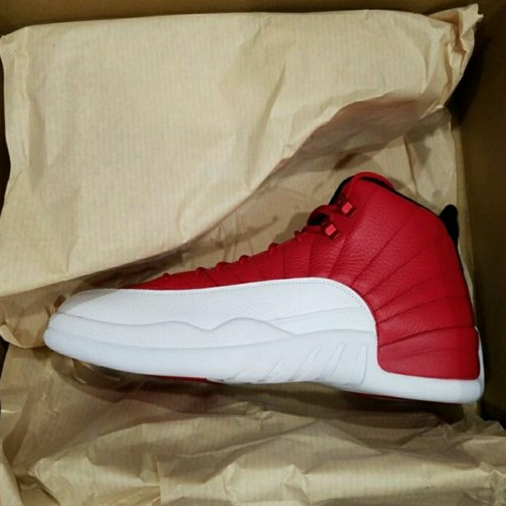 Air Jordan Retro 12 Alternate