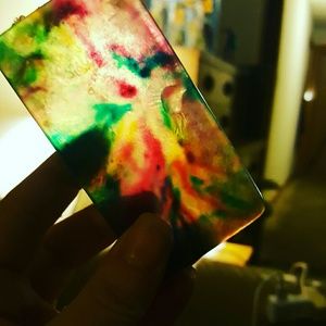 Meet your Posher, Dani