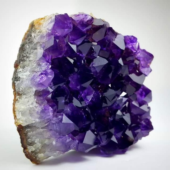 Meet your Posher, Rosana - Picture 4 of 8