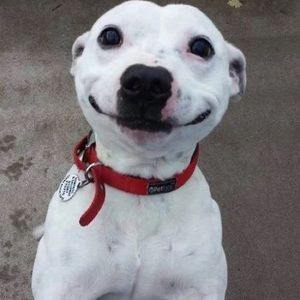 Meet your Posher, Ali