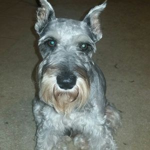 Meet your Posher, Deanna