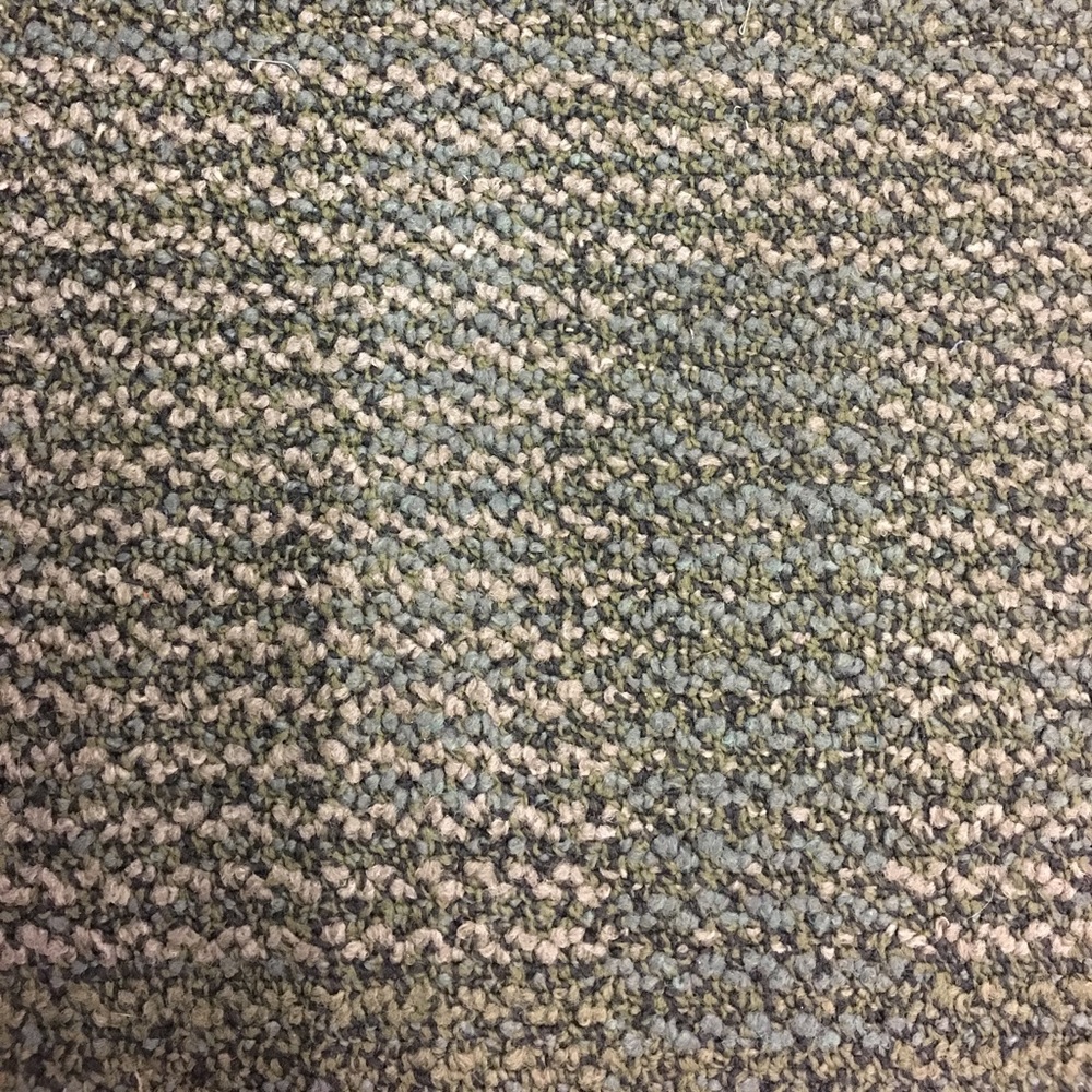 Meet your Posher, Molly