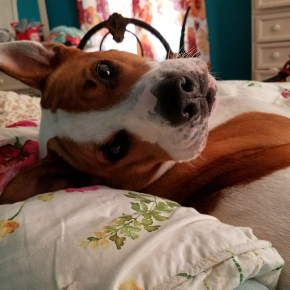 Meet your Posher, Michelle - Picture 1 of 1