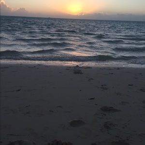 Meet your Posher, Terrie