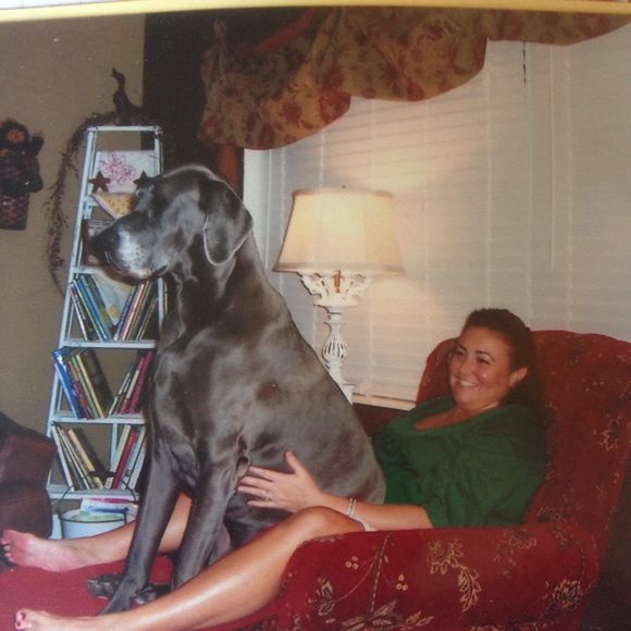 Meet your Posher, Mia - Picture 2 of 4